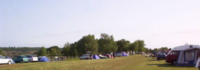 toms field view